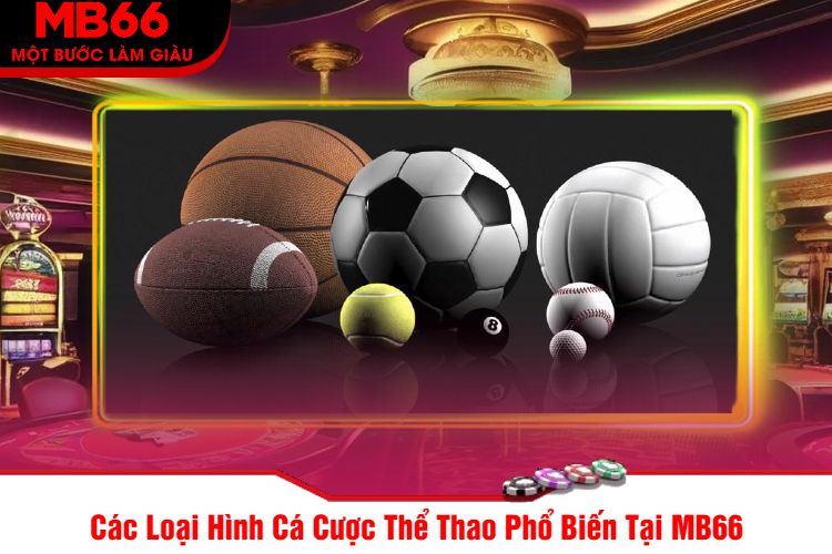 Các Loại Hình Cá Cược Thể Thao Phổ Biến Tại MB66