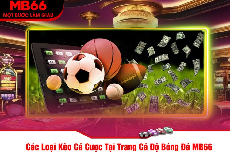 Các Loại Kèo Cá Cược Tại Trang Cá Độ Bóng Đá MB66