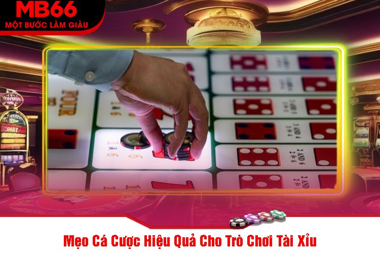 Mẹo Cá Cược Hiệu Quả Cho Trò Chơi Tài Xỉu