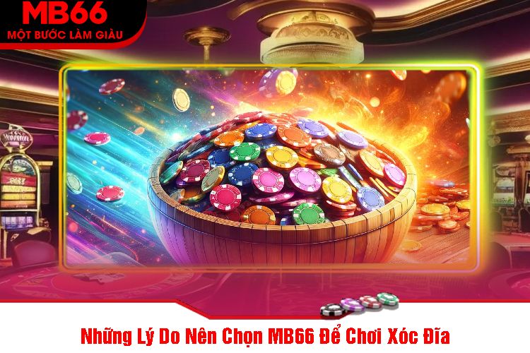 Những Lý Do Nên Chọn MB66 Để Chơi Xóc Đĩa