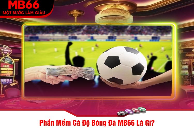 Phần Mềm Cá Độ Bóng Đá MB66 Là Gì