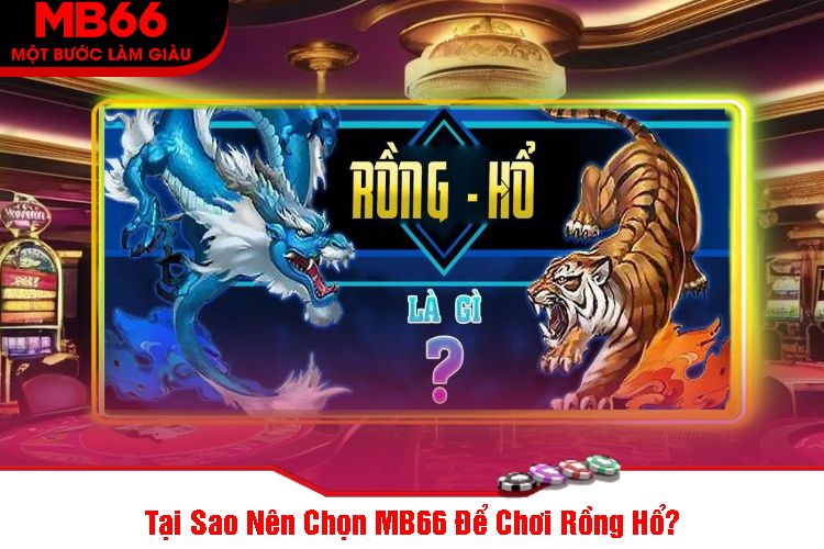 Tại Sao Nên Chọn MB66 Để Chơi Rồng Hổ