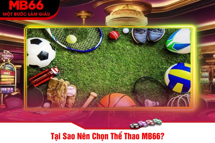 Tại Sao Nên Chọn Thể Thao MB66