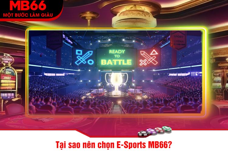 Tại sao nên chọn E-Sports MB66